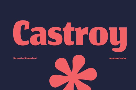 Elevating Your Brand Identity with the Castroy Display Font